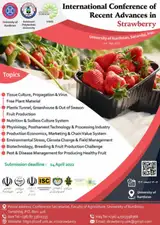 _POSTER The first international conference on new strawberry findings