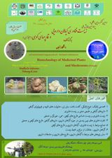 _POSTER 3rd International Congress and 4th National Conference on Biotechnology of Medicinal Plants and Mountain Fungi (Virtual)