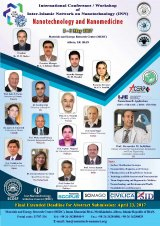 _POSTER International Conference/Workshop of Inter-Islamic Network on Nanotechnology (INN) on Nanotechnology and Nanomedicine